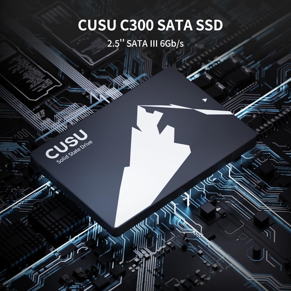 SSD SATA CUSU C300 512GB